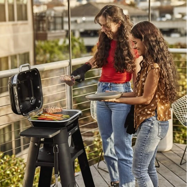 Vendita online Barbecue Weber Lumin elettrico con stand